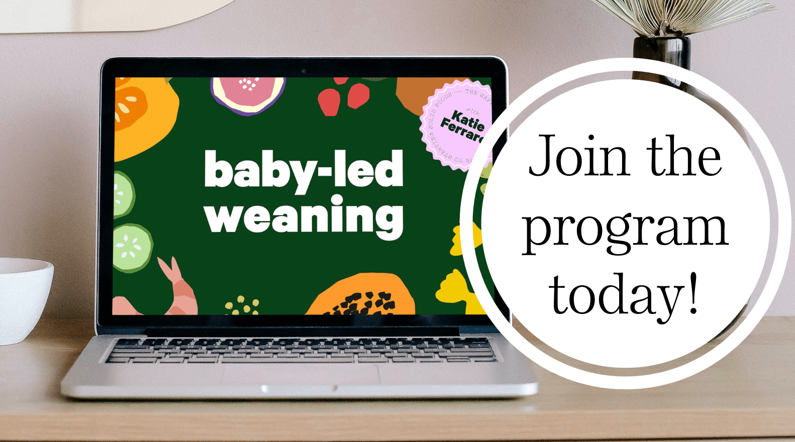 Baby-led Weaning Resources